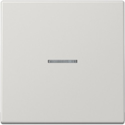 Лицевая панель Jung LS990 для 1-кл. выключателя с подсветкой серый картинка